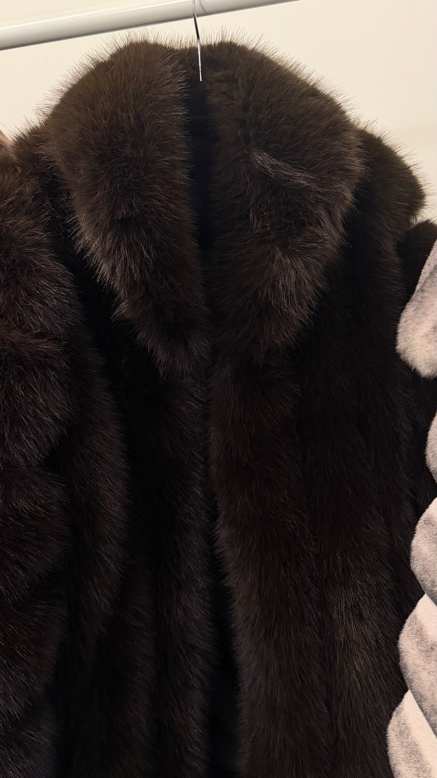 Brown Coat